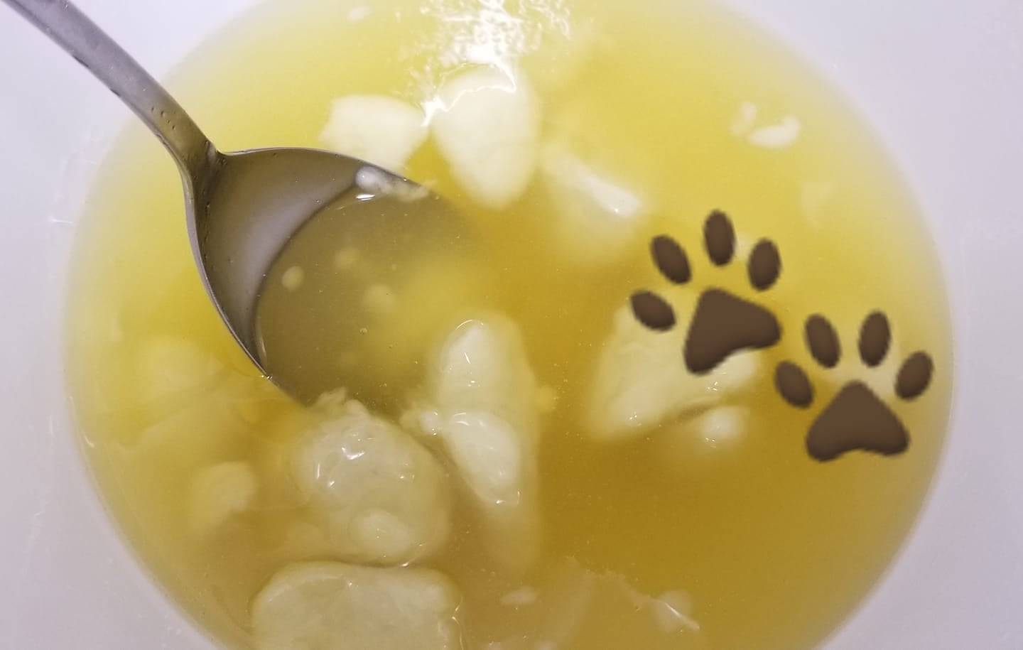 Wheelin Winston's Nose & Paw Butter