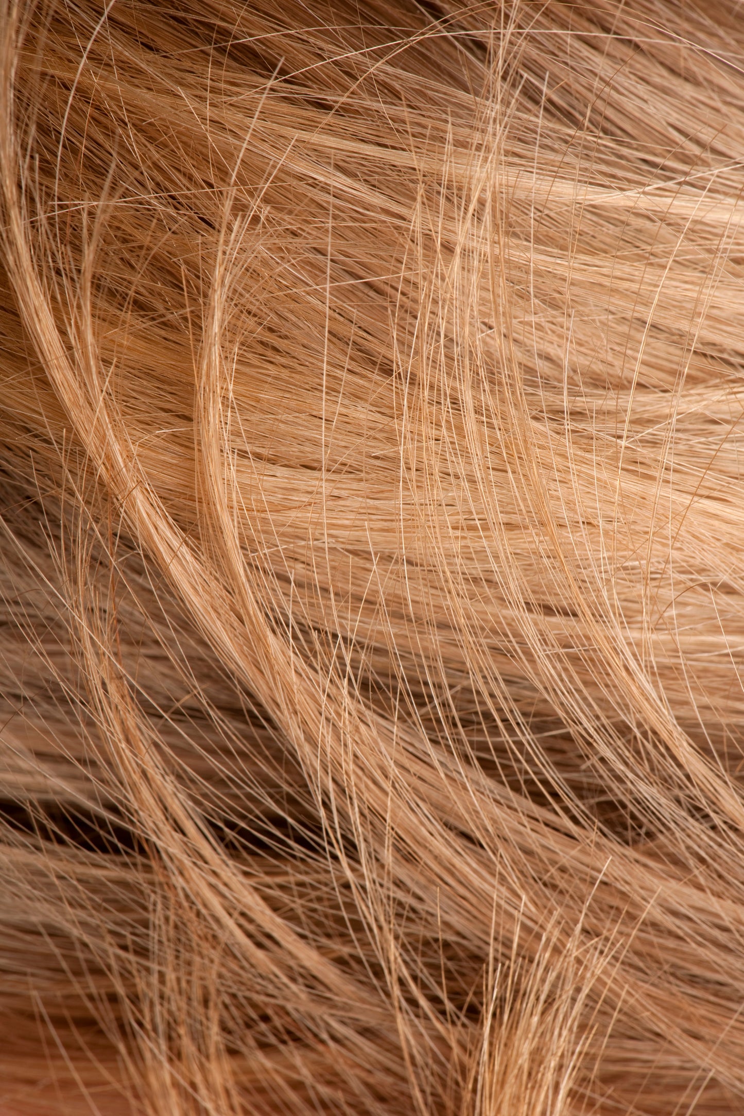 Hair Growth Oil
